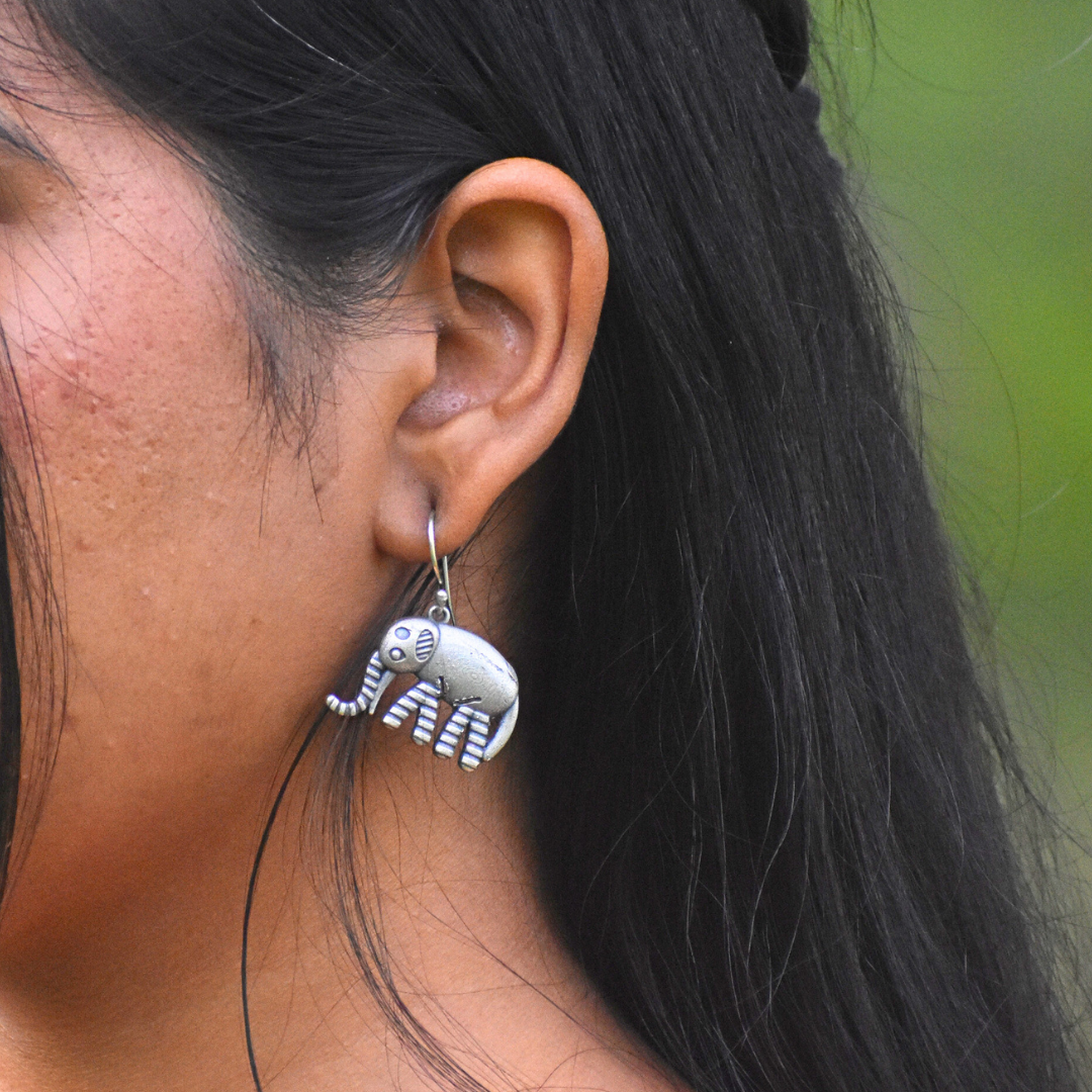 Combo of 10 Silver Oxidised Earring & Mini Photo Frame With Free Wood Box